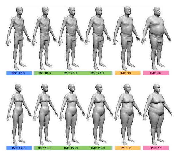 indice grasa corporal